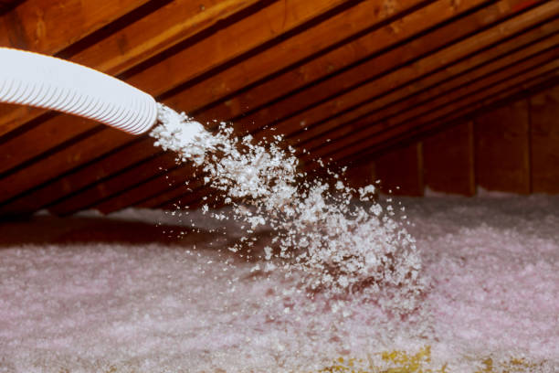 Best Insulation Air Sealing  in Lynchburg, MS